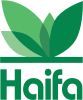 6 - Haifa